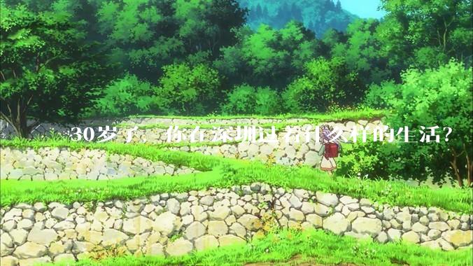 30岁了，你在深圳过着什么样的生活？